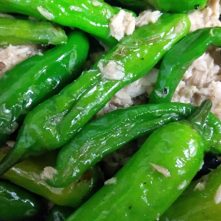 5分で作る!ししとうとツナの炒めもの